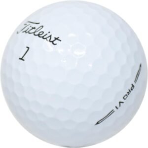 LostGolfBalls - 12 Titleist Pro V1 Golf Balls in Mint Condition, No Logos, No Player Markings, Refinished Used Golf Balls, Quality Guaranteed, White